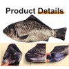 AWOXIHJ 1 Piece Fish Shaped Pencil Case Novelty Fish Pencil