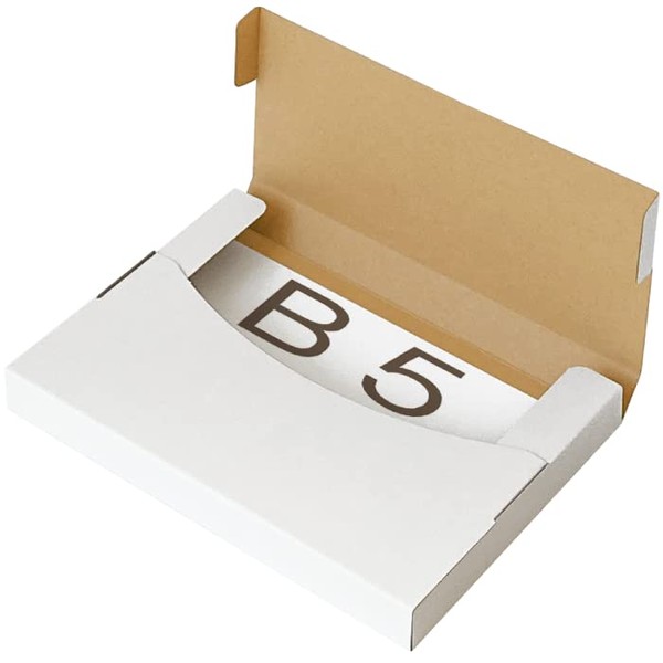 Earth Cardboard, ID0681 Cardboard Box for Nekoposu, 1.2 inches (3 cm) Thick, B5, 200 Sheets, Tatto Type Box, Cardboard, Nekoposu Box, White, Small Size