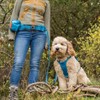 Kurgo Cinturón de Correr Manos Libres para Perro, cinturón de