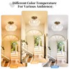 OYKYOHEI Semi Flush Mount Ceiling Light, Globe Glass Ceiling Light