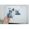 Pearhead Cat Bum Kitchen Magnets, Set of 4, Pet Themed