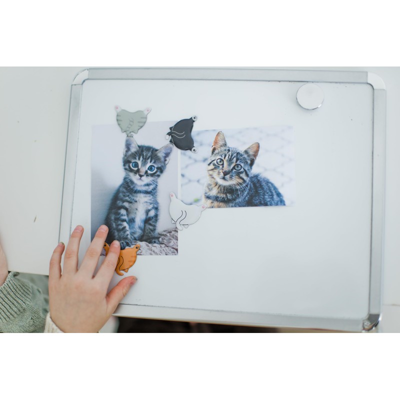 Pearhead Cat Bum Kitchen Magnets, Set of 4, Pet Themed