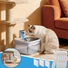 40 Packs Replacement Filters Compatible with Downy Paws Cat Water