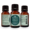 Best of Nature 100% Pure Spruce Essential Oil (0.5 oz)