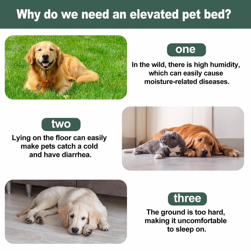 Cooling Elevated Dog Bed, Portable Dog Bed (Green+White, Medium)