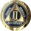 2 Year AA Medallion Elegant Black Gold Silver Plated Bi-Plate