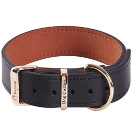Extra Breites, Dickes, Weiches Hundehalsband aus Echtem Leder zum Gehen und Trainieren Hochleistungs-Hundehalsband für Kleine, Mittel Grosse und Große Rassehunde (Schwarz, L)