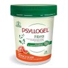 Psyllogel Fibre Arance Rosse 38 Tubs Intestinal