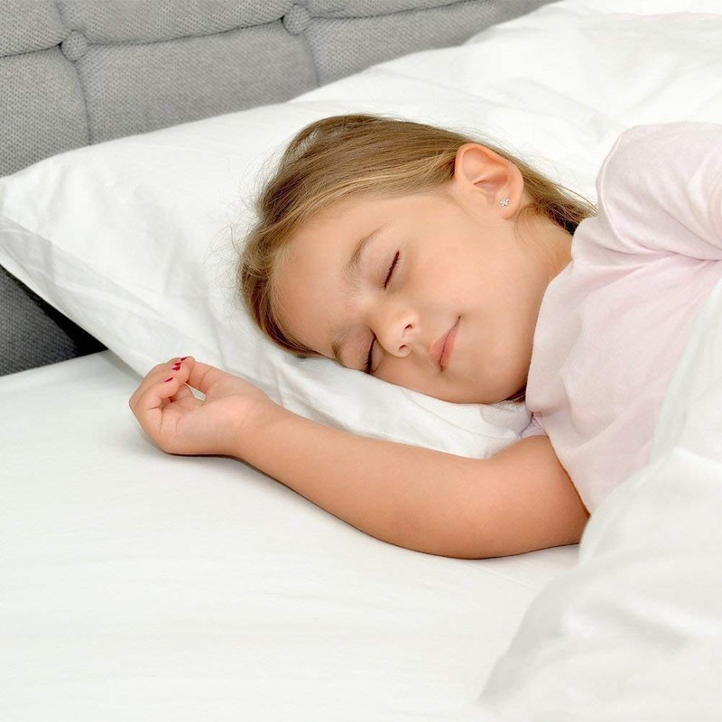 Waterproof Pillow Protector 2 Piece Set - Queen Size, Zippered