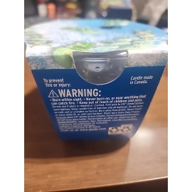 Glade Limited Edition FIRST FROST Frosted Woods & Eucalyptus CANDLE 6.8 oz.