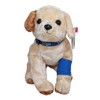 TY~PADS THE PDSA DOG BEANIE BABY