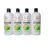 Pro Silk Salon Lot of 4 Pro Silk Salon Moisturizing