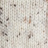 Caron Simply Soft Tweeds Yarn, 5 oz, Gauge 4 Medium,
