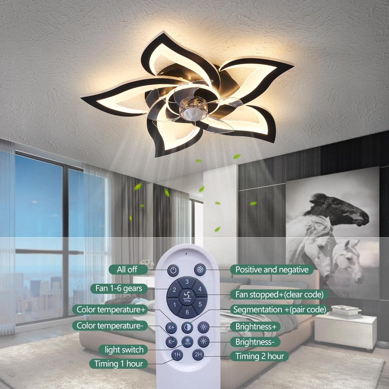 HuixuTe 24" Ceiling Fan with Lights Remote Control, 6 Speeds