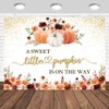 Tcoyodw Fall Pumpkin Baby Shower Backdrop 7x5ft A Sweet Little
