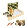 Rabbit Litter Box with Hay Feeder, Bunny Litter Box for