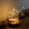 KMwares 3pcs Glass Bell Shape Dome(5.7"/4.9"/4.3") | Cloche Display various