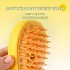 3 In 1 Steamy Cat Brush - Upgraded Multifunctional Cat