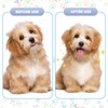 Maitys 8 Pieces Flea Lice Combs Double Sided Lice Cats