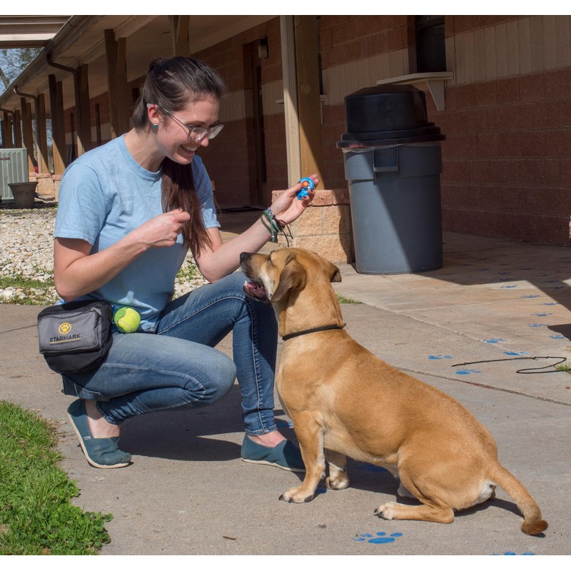 STARMARK Pro-Training Clicker Training Aid
