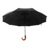 Folding Umbrella 10 Bone UV Protection Auto Open Auto Close