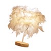 Feather Table Lamp Light Luxury Bedside Lamp Night Light for