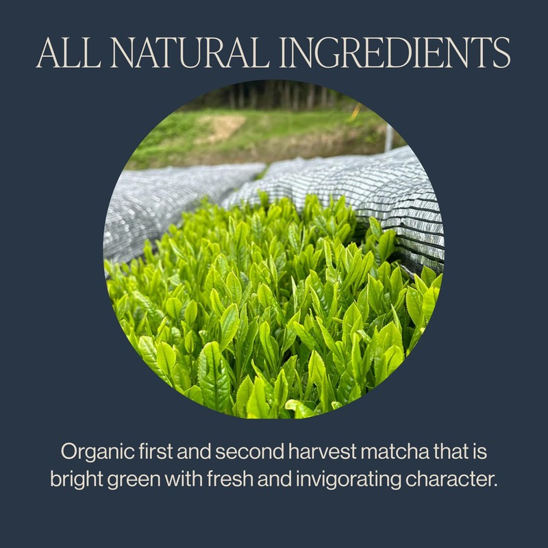 Rishi Tea Everyday Matcha - Organic Japanese Daily Matcha Green