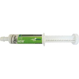 Uckele Lyte Now Syringe for Horses - Full Spectrum Electrolyte Paste for Horses - Equine Mineral Fluid Replenishment - 3 Doses - 80 CC
