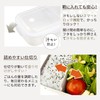 Asbel WTL-500 Lantus Lunch Box, 16.9 fl oz (500 ml),