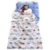 TRIWONDER Inner Sheet, Travel Sheet, 100% Cotton, Inner Shruff, Sleeping