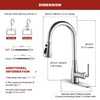 Lavatrum Kitchen Faucet with Pull Down Sprayer, 17 inch Polished