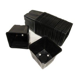 Gage Durapot Square Plastic Nursery Pots, 3-1/2" - Qty. 25