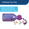 PetSafe Busy Buddy Tug-A-Jug M/L and Interactive Meal Dispensing Dog