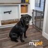 MyPet 2-in-1 Easy Swing Petgate: 27"-41" Wide Dog Gate. Safety