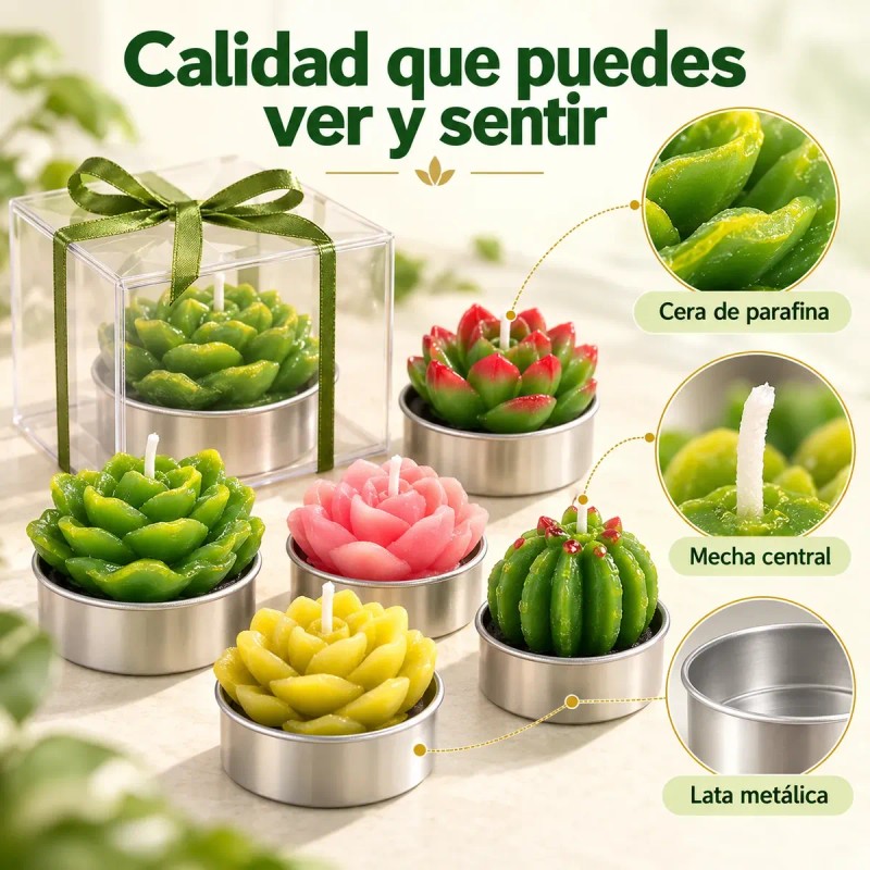 48pzs Velas Cactus Aromaticas Suculento Decorativas Con Caja