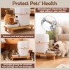 SZEE 2Pcs Cat Food Stand for Dual-head Automatic Feeder &