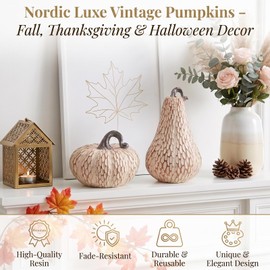TonJin Resin Pumpkin Decor Set of 2, Brown and White Fall Decorations for Home, Faux Pumpkins for Rustic Fall Coffee Table Decor, Thanksgiving Centerpiece, Autumn Harvest Indoor Decoration