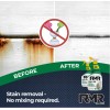 RMR Brands Instant Mold and Mildew Stain Remover Spray -