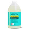 Aunt Fannie's Ultra Concentrated Floor Cleaner Vinegar Wash, Multi-Surface Solution