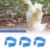 EMSea 60pcs 20mm Ring Foot Rings for Birds Pigeons Chicken