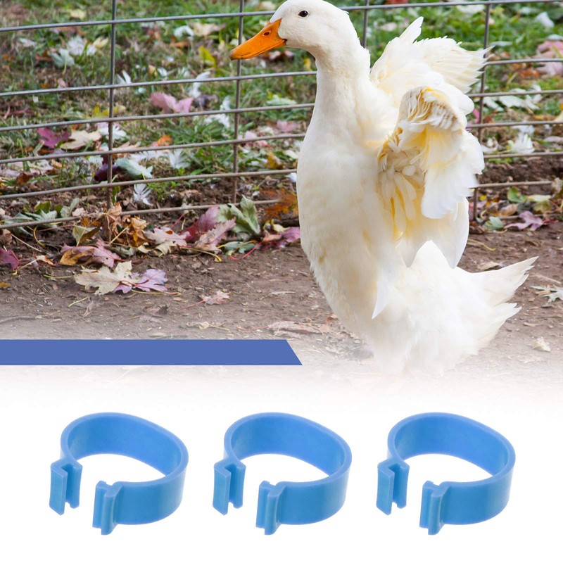 EMSea 60pcs 20mm Ring Foot Rings for Birds Pigeons Chicken