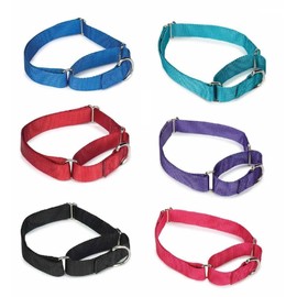 Gaurdian Gear Bulk Lot Martingale Dog Collars at Wholesale Prices Nylon Collar Multi Packs