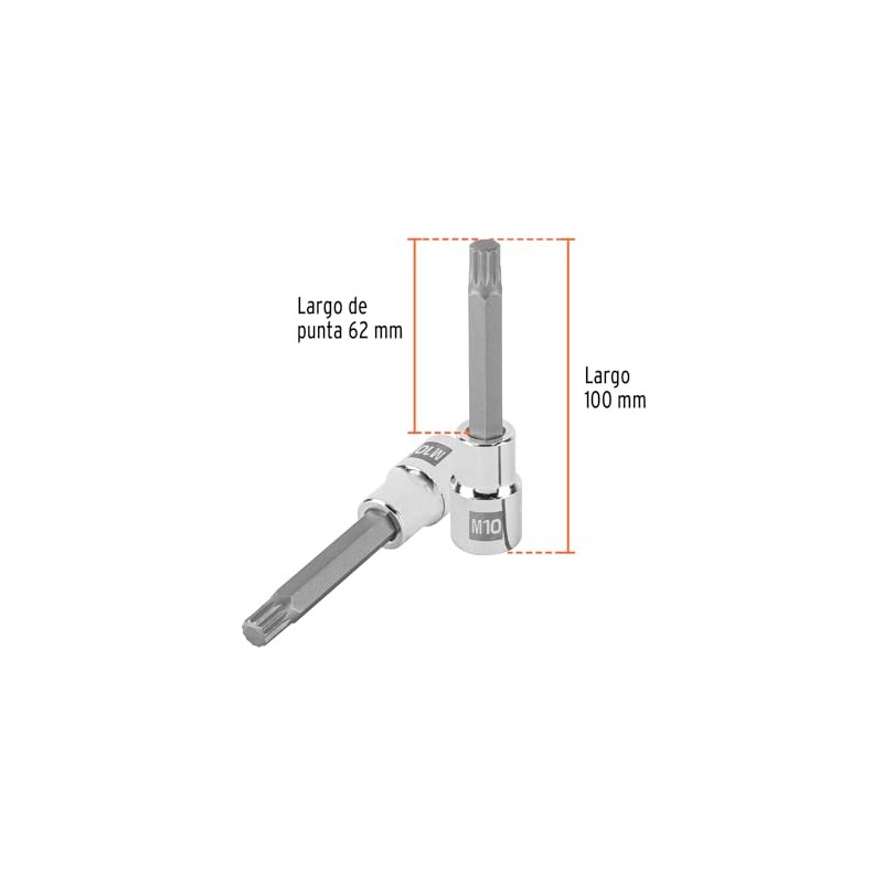 Truper D-1210-BL Dado Punta Larga Bristol M10, Cuadro 1/2"
