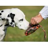 Major Dog Doppelpack 2er Set Futterdummy klein Hundespielzeug robust &