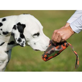 Major Dog Doppelpack 2er Set Futterdummy klein Hundespielzeug robust & schadstofffrei TÜV geprüft