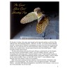 Book Photographing & Banding Owls 8-1/2" X 11" Images &