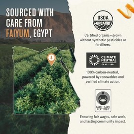 Numi - Té de hierbas de menta del África del Norte, 54 bolsas, orgánico, sin cafeína, en cajas de 18 unidades (Packaging puede variar)