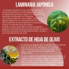 Creatina Monohidratada 1kg Redline Reductor Abdominal Cáps