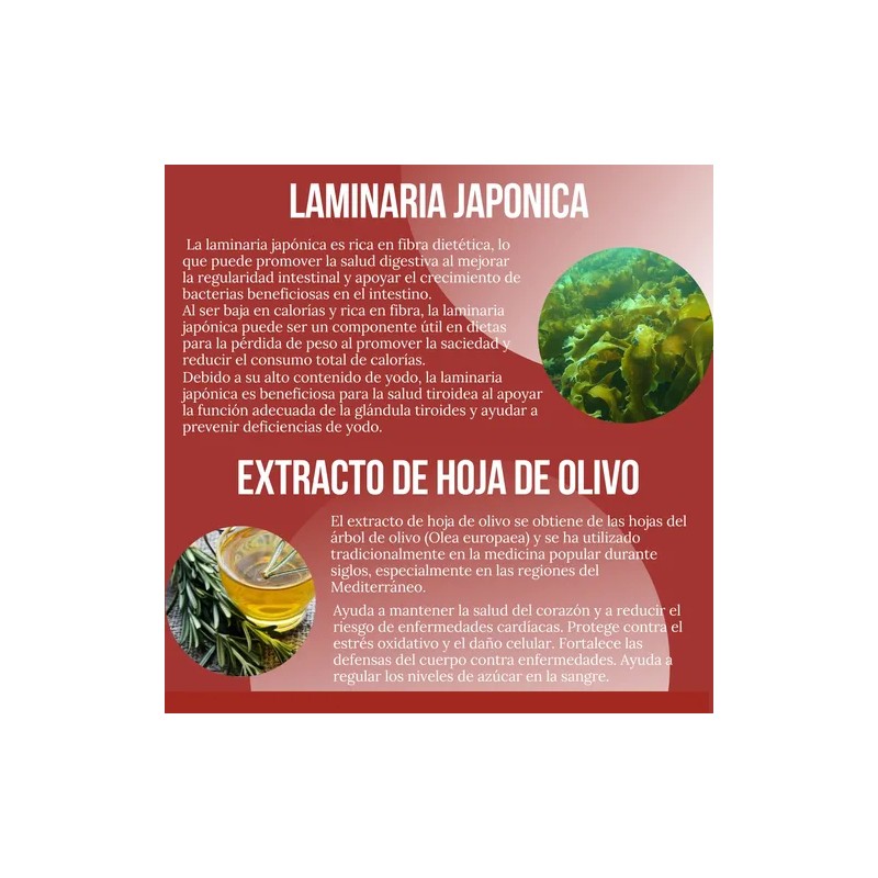 Creatina Monohidratada 1kg Redline Reductor Abdominal Cáps