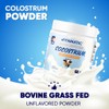 Vitamatic Vitamatic Bovine Colostrum Powder - Supplement for Gut Health,